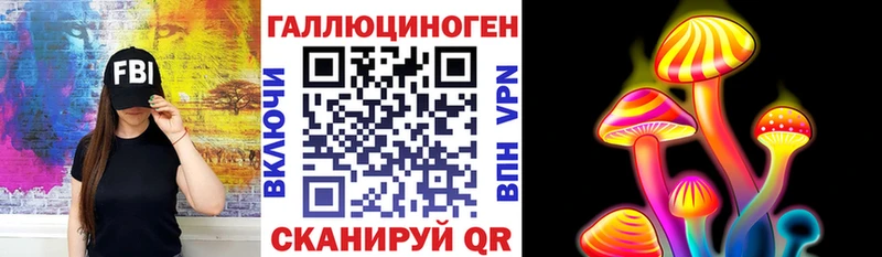 Галлюциногенные грибы Psilocybine cubensis  Купить где  Орлов 